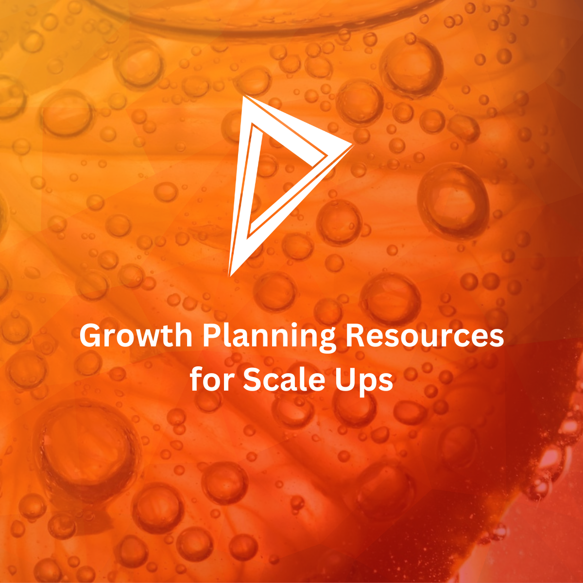 Resource Hub - Nancarrow Marketing