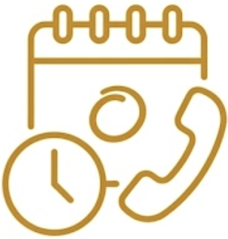 book a demo icon